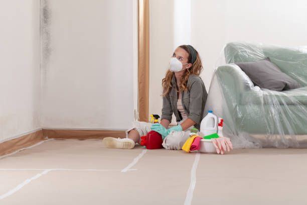 Reliable Mold Cleanup contractor in DeWitt, MI by Cheap Mold Removal